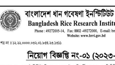 Bangladesh Rice Research Institute (BRI) Job Circular