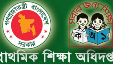  Government Primary School Job circular