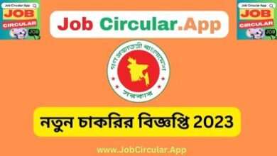 Government Primary Schools Job Circular - 2023