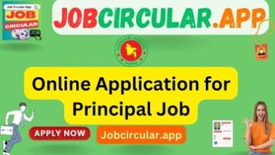 Online Application for Principal Job