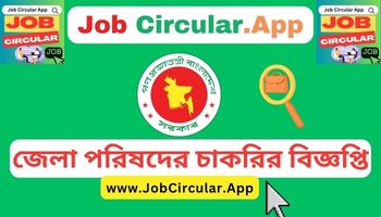 District Council Job Circular