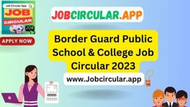 Border Guard Public School & College Job Circular