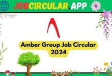 Amber Group Job Circular 2024