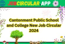 Cantonment Public School and College Job Circular 2024