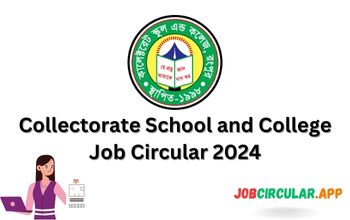 Collectorate School and College Job Circular 2024