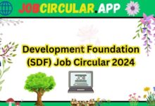 Development Foundation (SDF) Job Circular 2024