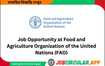Food and Agriculture Organization Job Circular
