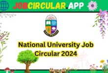 National University Job Circular 2024